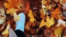 Fall