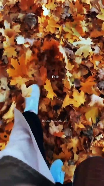 Fall