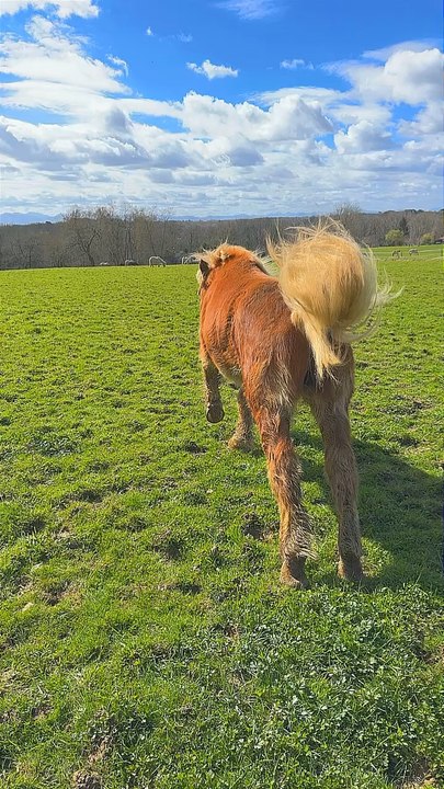 Mon bébé otcho