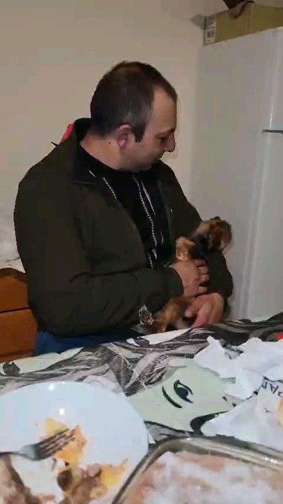 Perrito ladrador 🤣🤣🤣🤣🤣