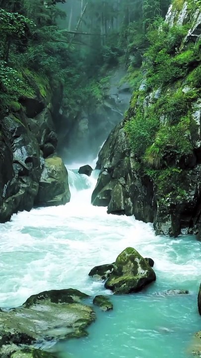 Healing Light Vibes