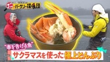 かんさい情報ネットten.「ナニバーサリー」 海と川の幸集めて“海川鮮丼”作り！サクラマス釣れるか⁉ - 2026年03月21日