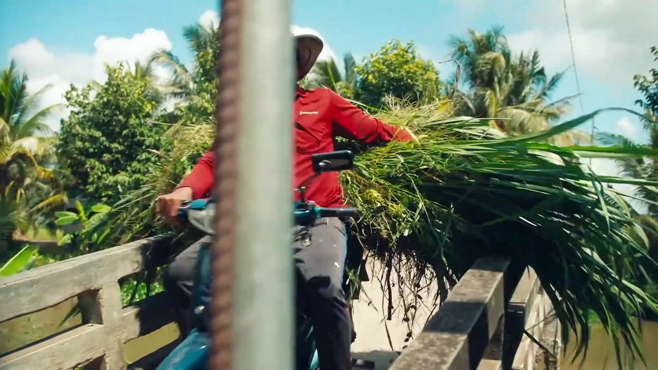 Our Guy in Vietnam 2of2 (2025)
