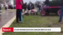Atları döverek bayıltan canilere ibretlik ceza