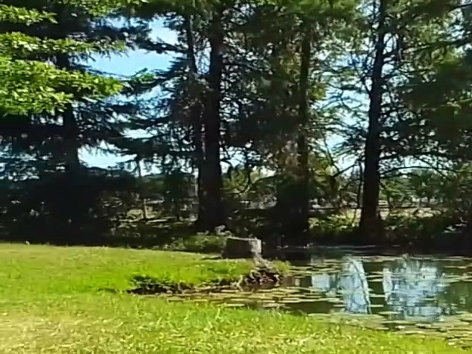 La laguna guarda secretos, pero no lo juzga