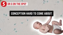 EP318: Impact of ageing on male fertility | PUTTING DR G ON THE SPOT