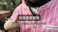 你沒問的冷知識💡搜尋工具改變世界 #MrKidult888 #日常觀察 #ViralShorts