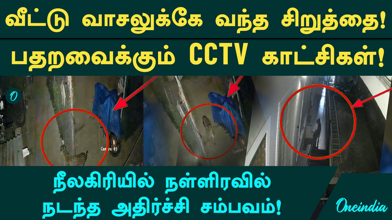 குடியிருப்பில் புகுந்த சிறுத்தை: நாய்களை வேட்டையாட முயன்ற பகீர் காட்சி! CCTV Video|Coonoor | Cheetah