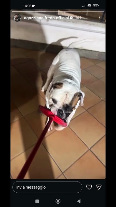 Agozzino Alfredo story consola il piccolo Arnold dopo operazione