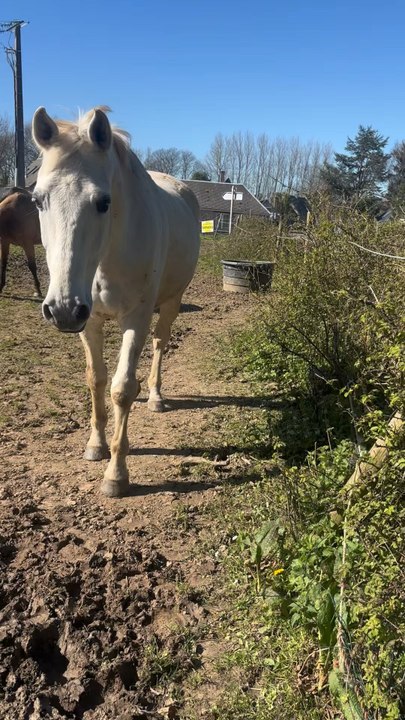 Une reprise pas facile, mais la Toun qui est là pour me supporter 🐻‍❄️🥹💛.