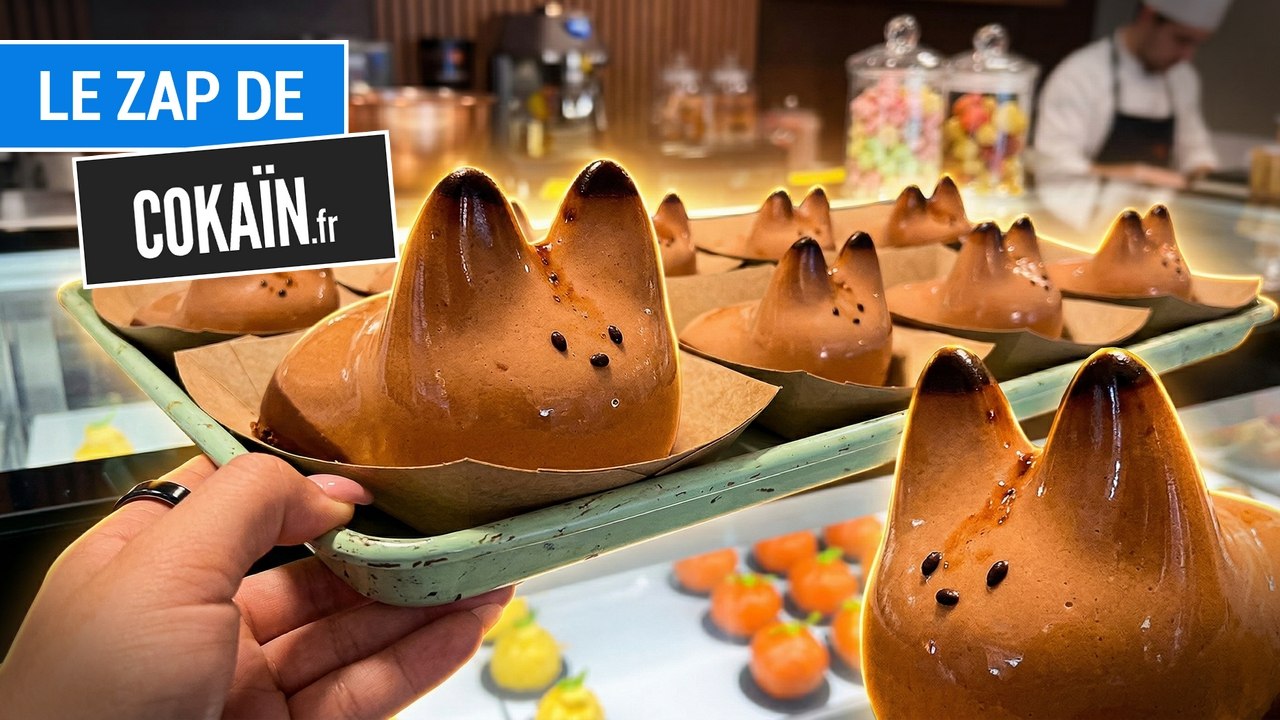 Le Zap de Cokaïn.fr n°535