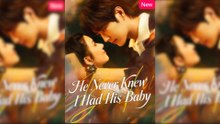 He Never Knew I Had His Baby Full Movie