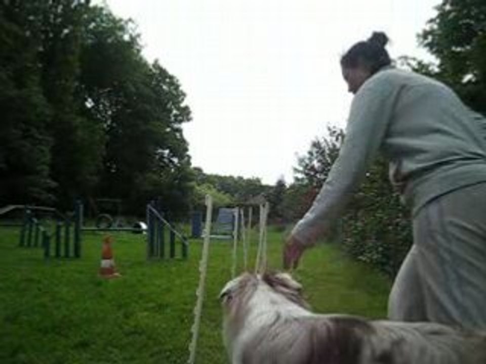 Agility 4 juin 010