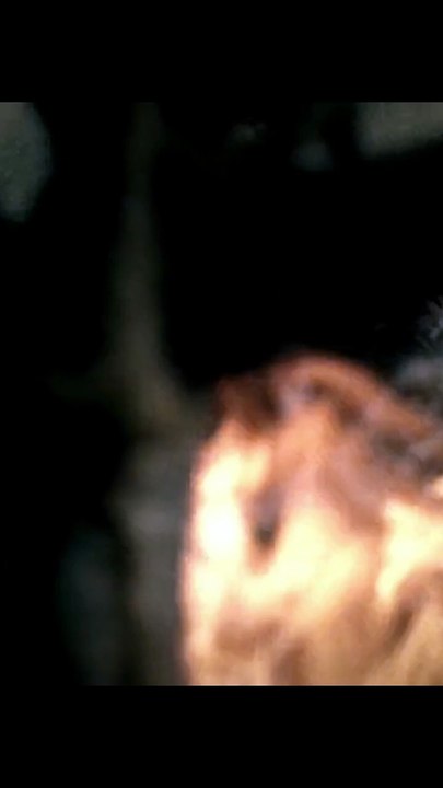 Left to Die by His Own People… ❄️ #movierecap #epiclens #endingexplained #actionscene