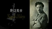 科学者 野口英世の闇