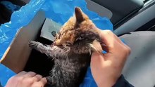 Varsın bu dünyada çakılı bir çiviniz olmasın, böyle anılar biriktirin....