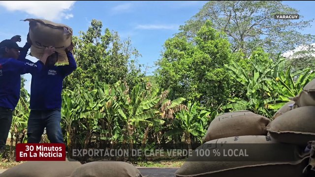 Yaracuy exporta a Rusia 56 toneladas de café verde