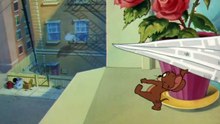 Tom And Jerry - 055 - Casanova Cat (1951)