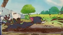Tom And Jerry - 038 - Mouse Cleaning (1948)
