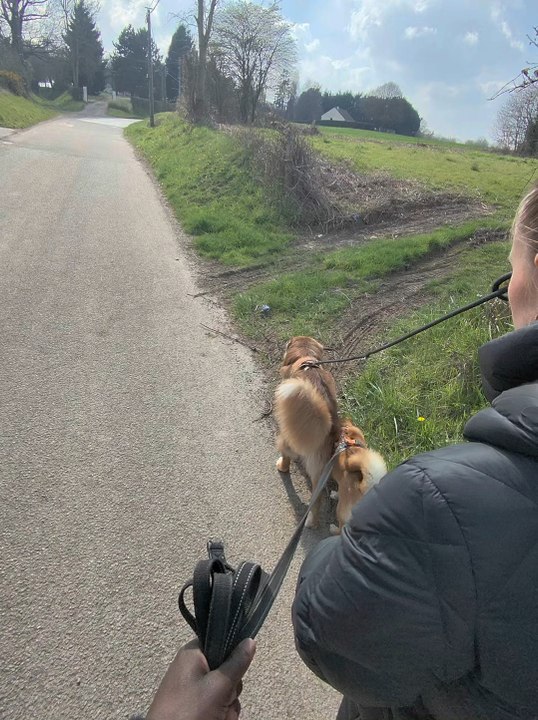 Il faut savoir aussi lâcher la manette…