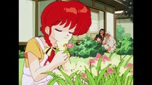 Ranma 1/2 Episode 49 English Dubbed TV