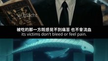 Chrollo's Indoor Fish