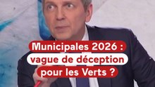 Municipales 2026 : une vague de déception pour les Verts ?