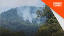 Hutan seluas 1.2 hektar di Pulau Pinang terbakar
