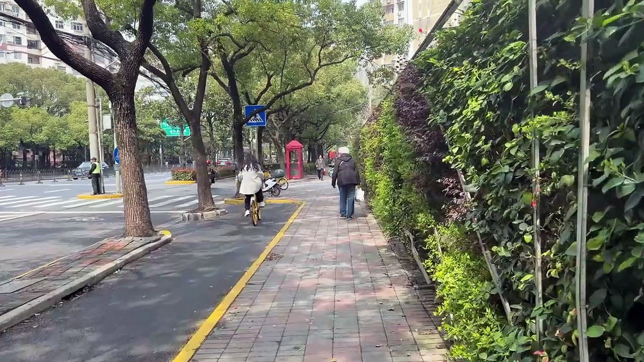 I Let a Traditional Chinese Doctor Diagnose Me in China… This Happened 🇨🇳