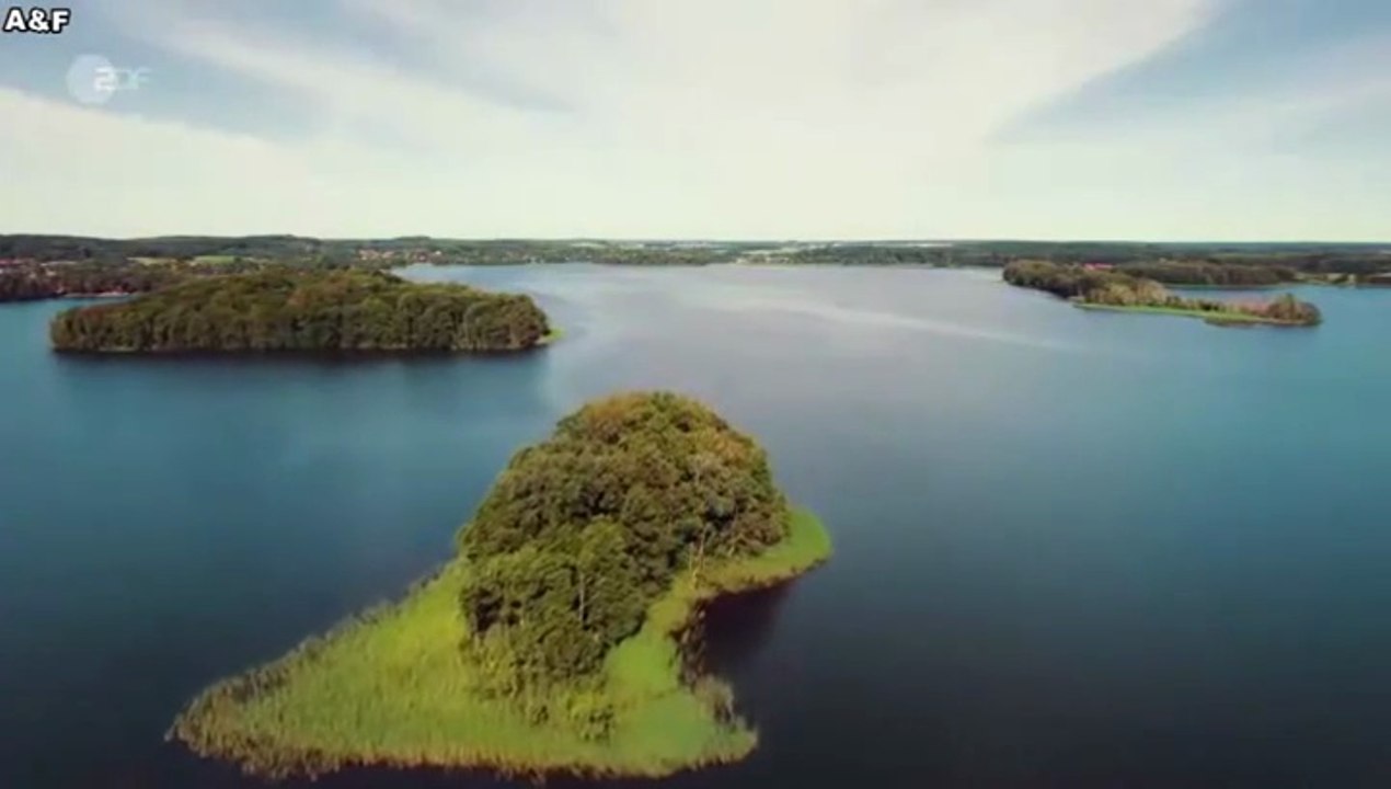 Malibu -04- Küss den Frosch