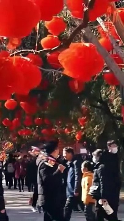 The Wife Who Claimed Her Life [Full Movie] [Trending]Full EP - Full