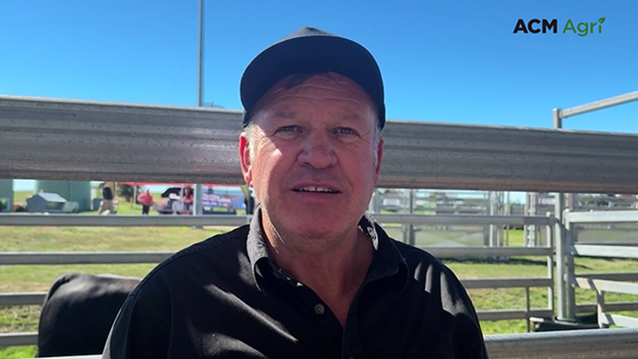 Clearance, top price and average jump for south-west Victorian beef stud