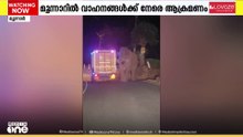 വീണ്ടും പടയപ്പയുടെ വിളയാട്ട്... മൂന്നാറിൽ വാഹനങ്ങൾക്ക് നേരെ ആക്രമണം