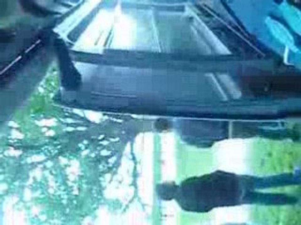 Frakatek Sur l'hippo