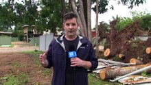 Additional disaster assistance announced for communities affected by ex-tropical cyclone Narelle