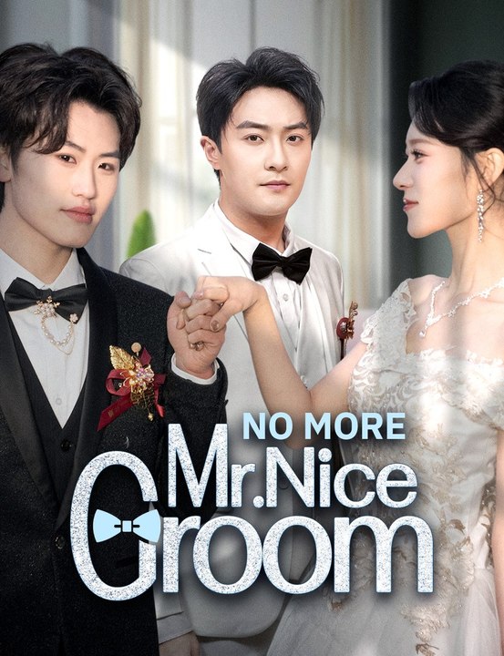No More Mr. Nice Groom