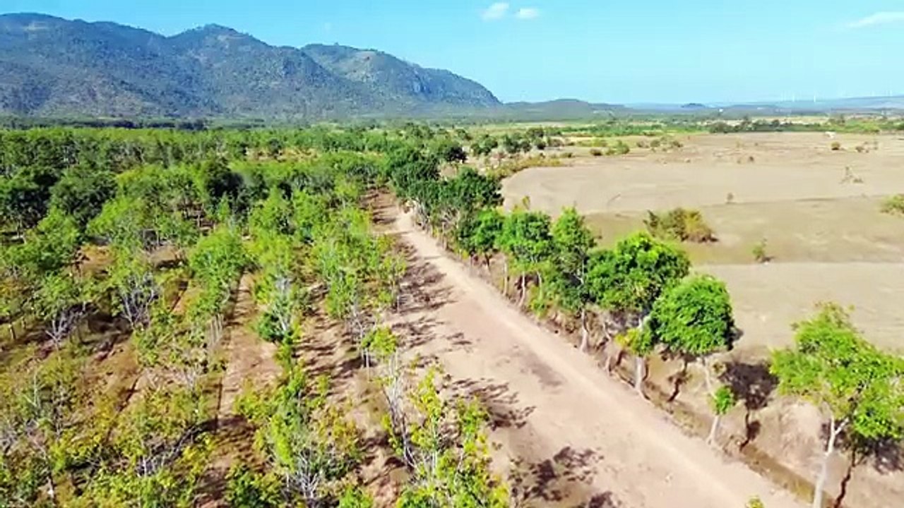 _LK Mất Cha _ Vũ Duy Long _ nghe mà mê ly _