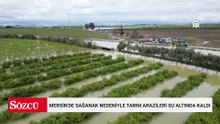 Mersin'de sağanak nedeniyle tarım arazileri su altında kaldı