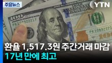 환율 1,517.3원 주간거래 마감...17년 만에 최고 / YTN