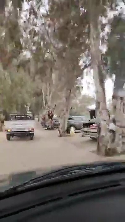 Mariages du ghardimaou Jendouba Tunisie ?