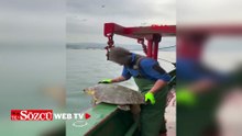Çanakkale'de balık ağına takılan caretta caretta kurtarıldı