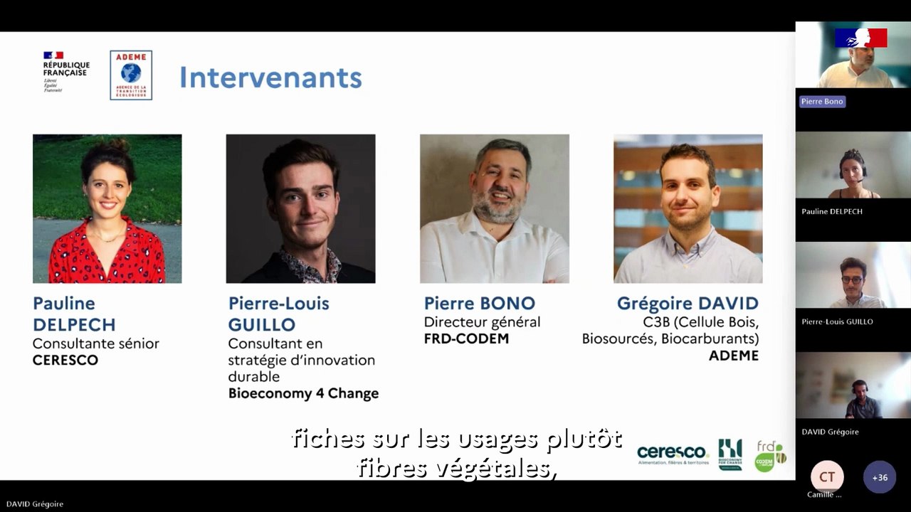 Produits biosourcés : état du marché, perspectives et enseignements clés (Webinaire ADEME 2025)