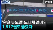 '환율 뉴노멀' 도대체 얼마?...1,517원도 뚫렸다 / YTN