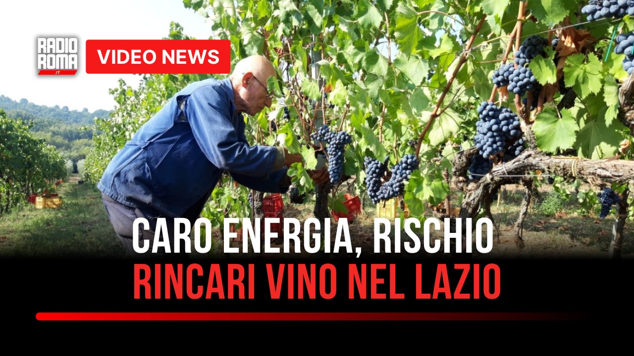 Caro energia, rischio rincari vino nel Lazio