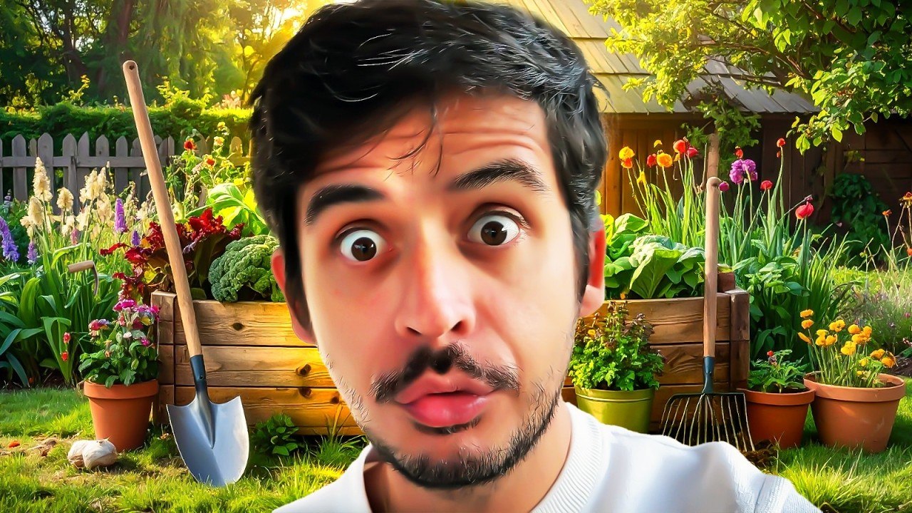 Je vous dévoile mon potager, c'est une dinguerie !