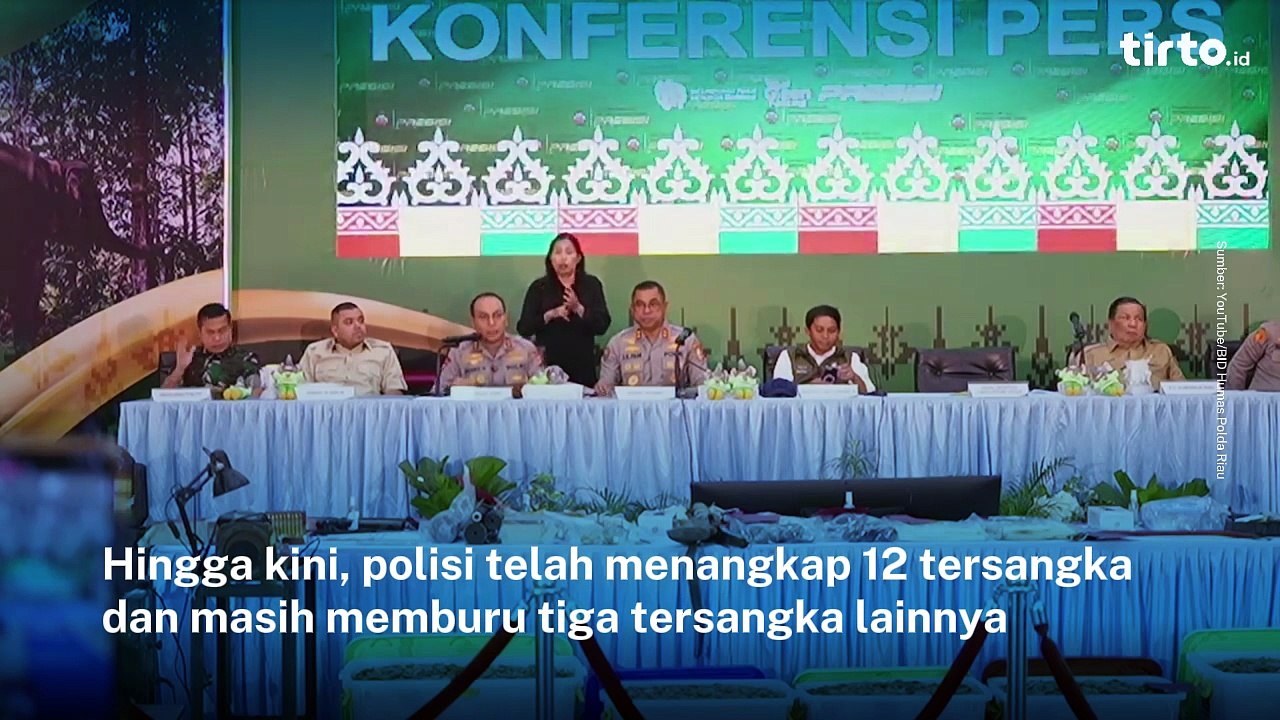 Gajah Sumatra Ditemukan Mati Tanpa Kepala, Polisi Tetapkan 15 Tersangka | Tirto Recap