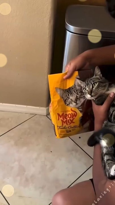 Coïncidence ? Je ne crois pas !Abonne toi, bisous