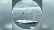 Meet Emily Cunningham: Antarctic Porthole Photos From Her Expedition