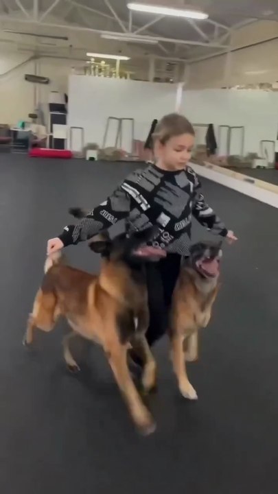 Funny German shepherd Cute dog funny shorts video new compilations 💕🐾🤣follow me please