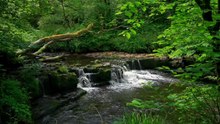 4K-Video - Peaceful Rainy River Ambience for Sleep & Relaxation